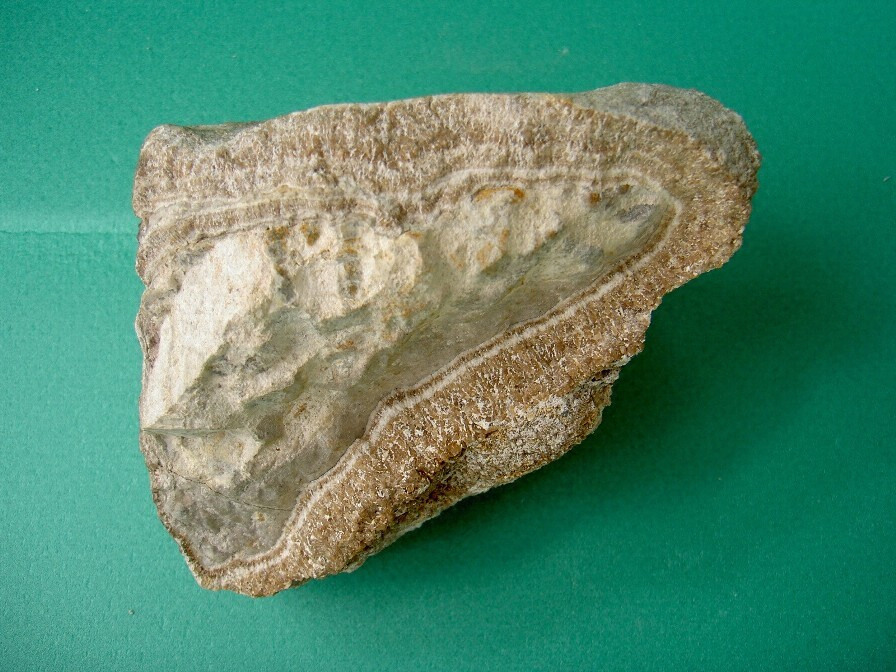 玉川温泉の北投石 文化遺産オンライン