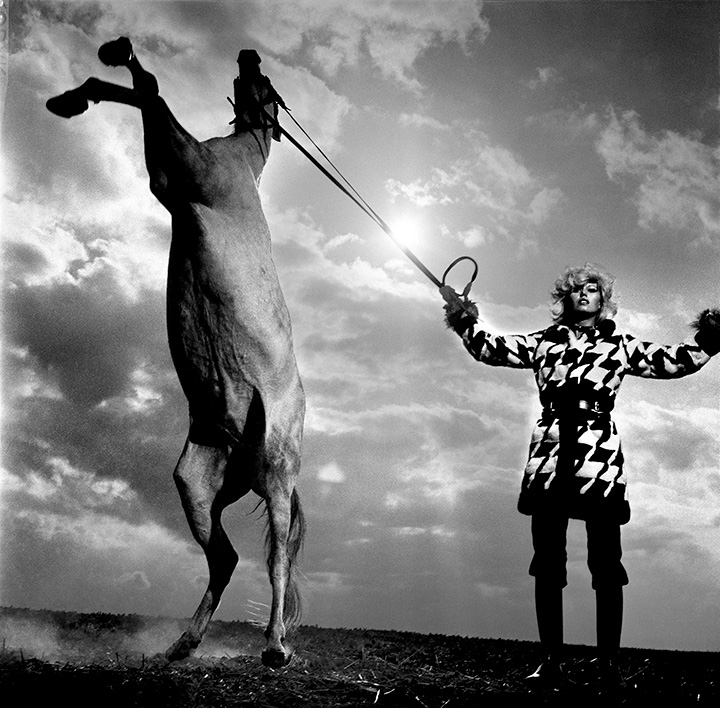 Newton: World Without Men Archives de Nuit Banier, Portraits