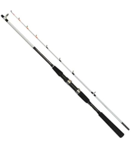 Amazon | オージーケー(Ogk) CS万能船SP 25号/165 | 大阪漁具(OGK) | 船竿