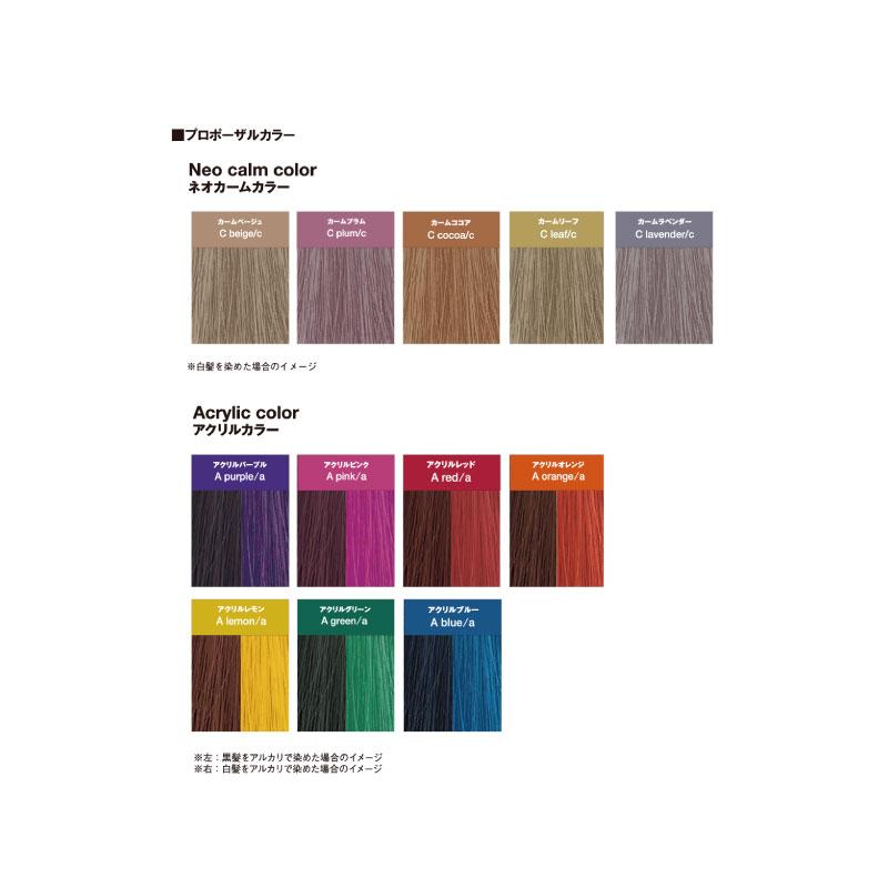 caradeco ナカノ キャラデコ プロポザールカラー【アクリルカラー】80g