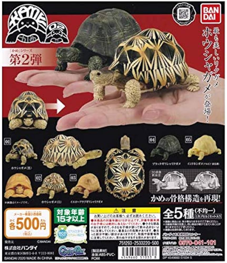 Amazon.co.jp: いきもの大図鑑 「かめ」シリーズ 第2弾 KAME 02 2種