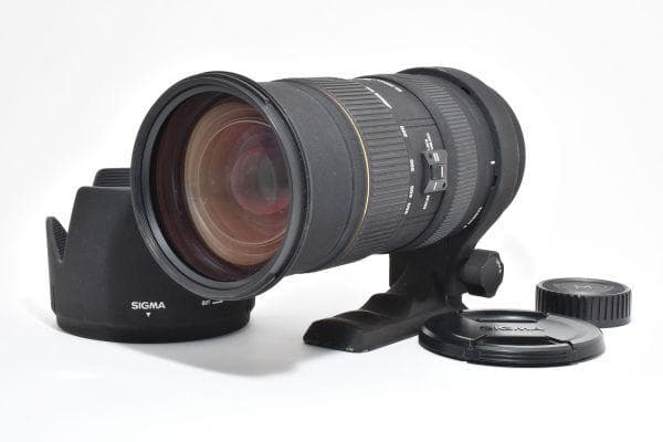 SIGMA 50-500mm F4.5-6.3 DG HSM for ニコン